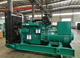 Generator set inspection